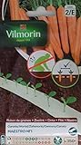 Vilmorin 2 Cintas 350 Semillas de Zanahoria Maestro HF1 (Cultivo fácil) Foto, mejor precio 2,90 € nuevo 2024