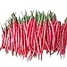 Photo Graines de poivre rouge longues 50+ graines de légumes de piment de Cayenne sans OGM pour la maison jardin extérieur cour intérieure plantation ferme