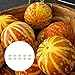 Foto Steelwingsf Gartenblumenkerne Zum Pflanzen Im Freien, 10 Stück/Beutel Tigger Melonensamen Geschmackvolle, Nahrhafte, Jährliche Cucurbita-Gemüsesamen Für Den Bauernhof Kürbiskerne