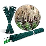 Novatool 100 varillas de madera de bambú, 70 cm x 6 mm, color verde, para plantas Foto, mejor precio 19,95 € nuevo 2024