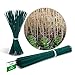 Foto Novatool 100 varillas de madera de bambú, 70 cm x 6 mm, color verde, para plantas