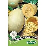 Germisem Vegetable Spaghetti Semillas de Calabacín 3.5 g (EC4021) Foto, mejor precio 2,21 € nuevo 2024