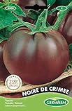 Germisem Noire de Crimée Tomate 20 Semillas (EC8008) Foto, mejor precio 2,45 € nuevo 2024