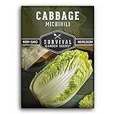 Survival Garden Seeds - Michihili Napa / Nappa Cabbage Seed for Planting - Pack with Instructions to Plant and Grow Brassica Vegetables in Your Home Vegetable Garden - Non-GMO Heirloom Variety Photo, best price $4.99 new 2024