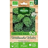 Vilmorin - Sachet graines Chou Frisé (KALE) Westlandse Winter BIO - Brassica oleracea var. sabellica Photo, meilleur prix 5,85 € (2 925,00 € / kg) nouveau 2024