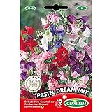 Germisem Pastel Dream Mix Semillas de Guisantes Dulces 1.5 g Foto, mejor precio 2,70 € nuevo 2024
