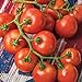 Photo Burpee 'Fourth of July' Hybrid | Red Slicing Tomato | 50 Seeds
