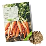 BIO Karotten Samen (Early Nantes) - Möhren Saatgut aus biologischem Anbau ideal für die Anzucht im Garten, Balkon oder Terrasse Foto, bester Preis 4,90 € neu 2024