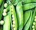 Photo 50 Lincoln Pea Seeds | Non-GMO | Fresh Garden Seeds