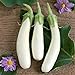 Photo David's Garden Seeds Eggplant Casper 3411 (White) 50 Non-GMO, Open Pollinated Seeds