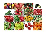 Please Read! This is A Mix!!! 30+ Hot Pepper Mix Seeds, 16 Varieties Heirloom Non-GMO Habanero, Tabasco, Jalapeno, Yellow and Red Scotch Bonnet, Ships from USA! US Grown. Photo, best price $5.69 new 2024