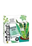 Undergreen by Compo Green Shot, Kur für Grünpflanzen und Palmen, Aufbaukur, 5 Ampullen je 30 ml, Transparent Foto, bester Preis 6,74 € (224,67 € / l) neu 2024