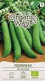 Organic Way | MARKERBSE PROGRESS N.9 samen | Gemüsesamen | Erbsensamen | Frühe Sorte | 1 Pack Foto, bester Preis 2,88 € (2,88 € / stück) neu 2024