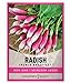 Photo Radish Seeds for Planting - French Breakfast Variety Heirloom, Non-GMO Vegetable Seed - 2 Grams of Seeds Great for Outdoor Spring, Winter and Fall Gardening by Gardeners Basics