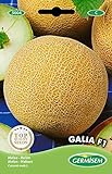 Germisem Melone GALIA F1, mehrfarbig, EC5004 Foto, bester Preis 3,68 € neu 2024