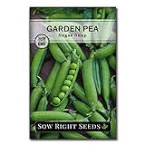 Sow Right Seeds - Sugar Snap Pea Seed for Planting - Non-GMO Heirloom Packet with Instructions to Plant a Home Vegetable Garden Photo, best price $5.49 new 2024