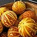 Photo 20 Rare Tigger Melon Seeds | Exotic Garden Fruit Seeds to Plant | Sweet Exotic Melons, Grow and Eat