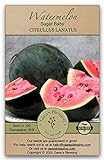 Gaea's Blessing Seeds - Sugar Baby Watermelon Seeds (3.0g) Non-GMO Seeds with Easy to Follow Planting Instructions - Heirloom 94% Germination Rate Photo, best price $4.99 new 2024