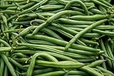 Blue Lake Pole Bean Seeds - Non-GMO - 2 ounces, approximately 175 seeds Photo, best price $6.99 new 2024