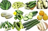 100+ Cucumber Mix Seeds 12 Varieties Non-GMO Delicious and Crispy, Grown in USA. Rare and Super Prolific Photo, best price $6.25 ($35.43 / Ounce) new 2024