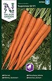 Möhren Samen Sugarsnax 54 F1 - Nelson Garden Gemüse Saatgut - Karotten Samen (300 Stück) (Möhre, Sommer-, Sugarsnax 54 F1, Einzelpackung) Foto, bester Preis 3,45 € neu 2024