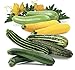 Photo Seeds Zucchini Courgette Squash Summer Mix Heirloom Vegetable for Planting Non GMO