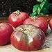 Photo Burpee 'Cherokee Purple' Heirloom | Large Slicing Tomato | Rich Flavor