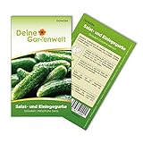 Salat- und Einlegegurke Delikateß Samen - Cucumis sativus - Gurkensamen - Gemüsesamen - Saatgut für 10 Pflanzen Foto, bester Preis 1,99 € (0,20 € / stück) neu 2024