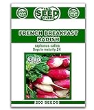 French Breakfast Radish Seeds - 200 Seeds Non-GMO Photo, best price $1.59 ($0.01 / Count) new 2024