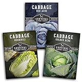 Cabbage Collection Seed Vault - Non-GMO Heirloom Survival Garden Seeds for Planting - Red Acre, Golden Acres, and Michihili (Napa) Cabbage Seed Packets to Grow Your Own Healthy Cruciferous Vegetables Photo, best price $8.99 new 2024