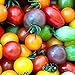 Foto 100 piezas de semillas de tomate de cereza arcoíris de semillas de tomate enano de herencia colorida para plantar el jardín de su casa