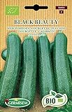 Germisem Orgánica Black Beauty Semillas de Calabacín 3 g Foto, mejor precio 3,99 € nuevo 2024