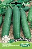 Germisem Long Green Semillas de Pepino 3 g Foto, mejor precio 2,21 € nuevo 2024