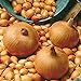 Foto Semillas vegetales100Pcs/Bag Vegetable Seeds suculentas cebolla nutritiva fresca de rápido crecimiento - Semillas de cebolla