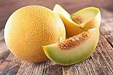 Lot de 50 Graines de Melon Ananas - chair orange, sucrée, juteuse et très parfumée - culture facile - la plante peut porter jusqu’à 6/8 fruits - vigoureuse et très ramifiée - semences reproductibles Photo, meilleur prix 4,99 € nouveau 2024