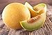 Photo Lot de 50 Graines de Melon Ananas - chair orange, sucrée, juteuse et très parfumée - culture facile - la plante peut porter jusqu’à 6/8 fruits - vigoureuse et très ramifiée - semences reproductibles