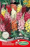 Germisem Magic Carpet Mix Graines de Snapdragon 0.8 g EC1503 Multicolore Photo, meilleur prix 2,70 € nouveau 2024