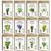 Photo Seedra 12 Herb Seeds Variety Pack - 3800+ Non-GMO Heirloom Seeds for Planting Hydroponic Indoor or Outdoor Home Garden - Rosemary, Tarragon, Lavender, Oregano, Basil, Thyme, Parsley, Chives & More