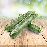 Zucchini 25 x Samen - Aus Portugal 100% Natürlich Ohne Chemische Anzuchthilfe Oder Gentechnik, Einfach Nur Natur Pur Foto, bester Preis 2,29 € (0,09 € / stück) neu 2024