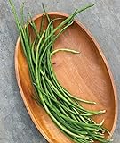 Burpee Yardlong Asparagus Pole Bean Seeds 1 ounces of seed Photo, best price $8.07 new 2024