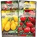 Photo Sow Right Seeds - Cherry Tomato Seed Collection for Planting - Large Red Cherry, Yellow Pear, White, and Rio Grande Cherry Tomatoes - Non-GMO Heirloom Varieties to Plant and Grow Home Vegetable Garden