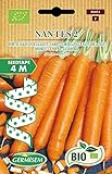 Germisem Orgánica Nantes 2 Semillas de Zanahoria en Cinta de 4 m, ECBIO9051 Foto, mejor precio 3,99 € nuevo 2024