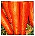 Foto Semillas de zanahoria san valerio - verduras - daucus carota - aprox. 4500 semillas - las mejores semillas de plantas - flores - frutas raras - zanahorias - idea de regalo -