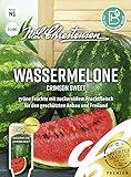Wassermelone Crimson Sweet Samen, Saatgut Foto, bester Preis 3,23 € neu 2024
