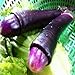 Foto TENGGO Egrow 100 Teile/Paket Lila Pfeffer Samen Hausgarten Lustige Chili Peppers Gemüse Seasoners
