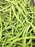 Petite Fillet French Bean Seeds for Planting 1/4 OZ, Non-GMO, American Seeds, Heirloom, Phaseolus vulgaris Photo, best price $6.99 new 2024