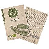 BIO Zucchini Samen, 10 Zucchinisamen, hohe Keimrate, 100% Natürlich von Little Plants, BIO Samen Zucchini Courgette für deinen Gemüsegarten, Gemüsebeet, Hochbeet - BIO Saatgut Nachhaltig Verpackt Foto, bester Preis 3,95 € neu 2024