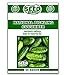 Photo National Pickling Cucumber Seeds - 50 Seeds Non-GMO