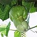 Foto Oce180anYLVUK Kürbiskerne, 30 Stück/Beutel Kürbiskerne Living Essbarer Garten Gemüsesamen Für Den Garten Samen