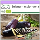 SAFLAX - BIO - Aubergine - Longue violette - 20 graines - Solanum melongena Photo, meilleur prix 3,95 € nouveau 2024